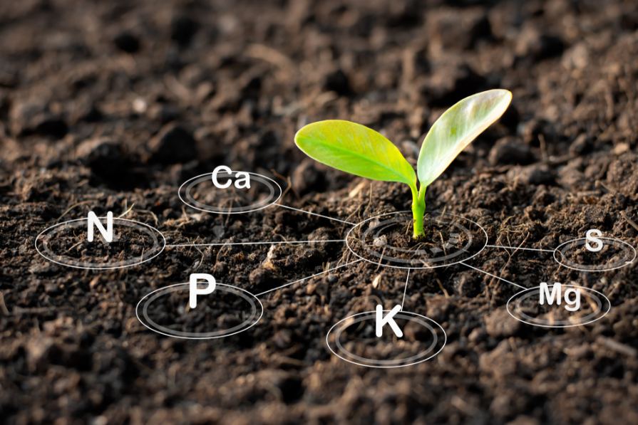 How to Add Nutrients to Soil and Help Your Plants Flourish โ Lomi