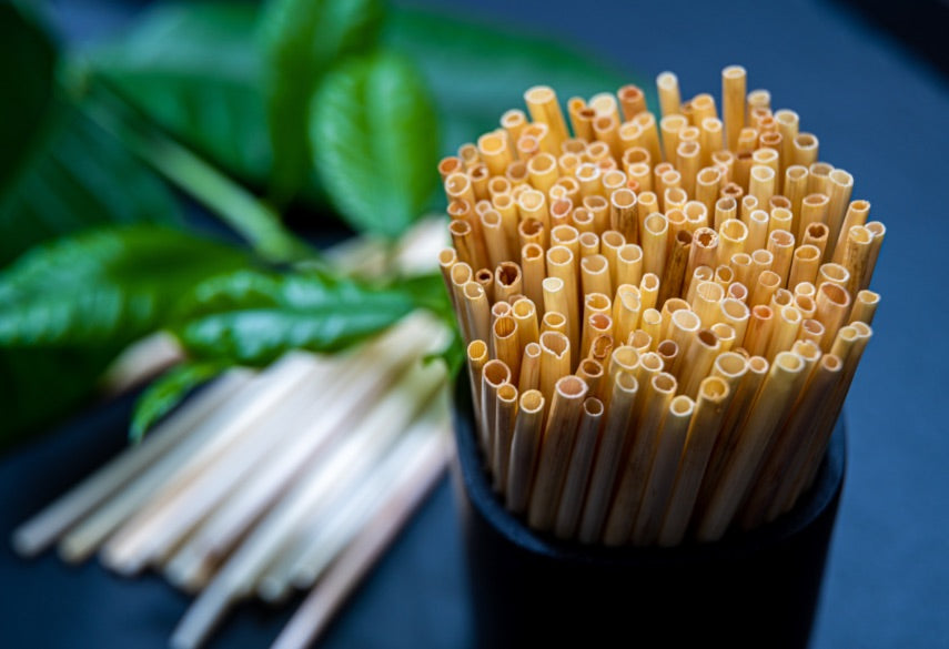7 Best Biodegradable Compostable Straws Made From Plants