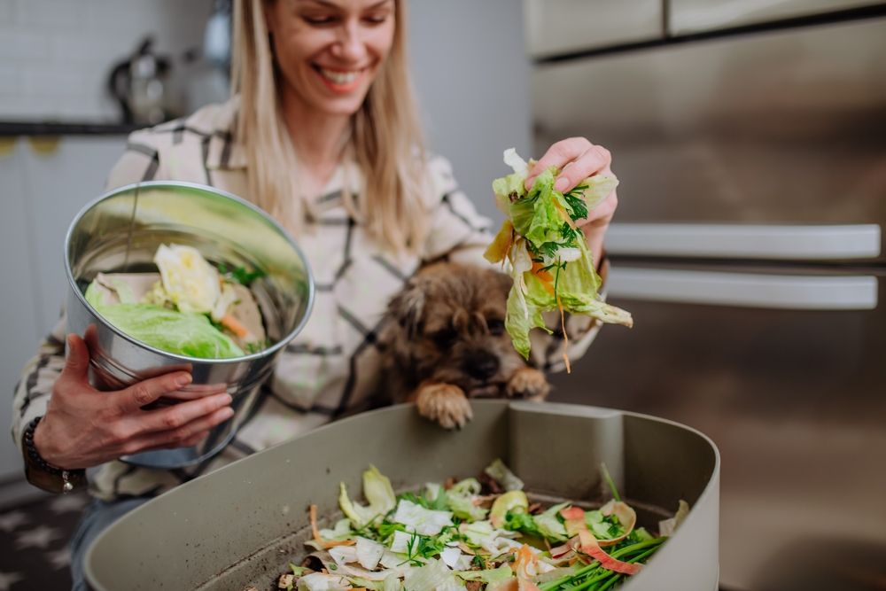 How To Pick the Right Compost Bin