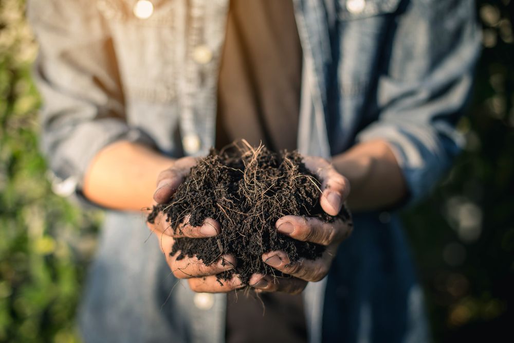 How to Compost: An Easy Guide to Stylish Countertop Composting