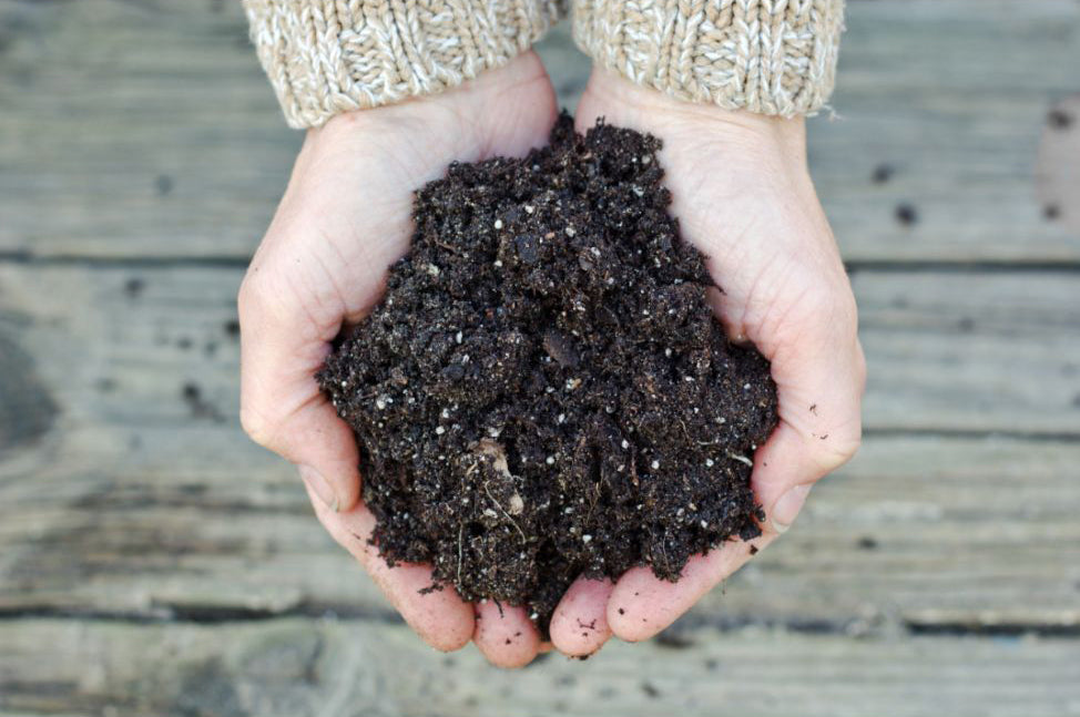 7 composting tips everyone needs to know