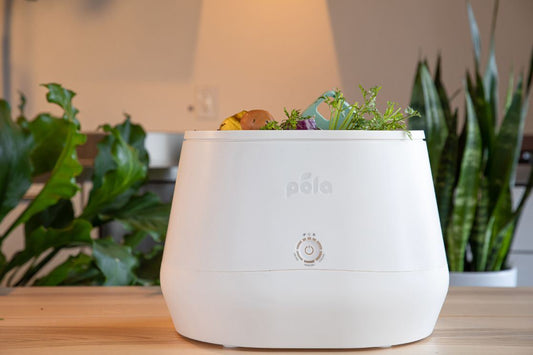 Lomi filled with organic waste and Pela Case