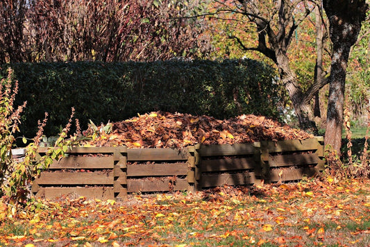 A pile of dried brown leaves