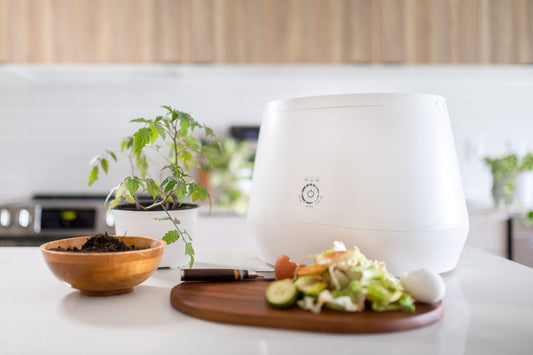 Lomi on a kitchen counter with food scraps, dirt, and a plant