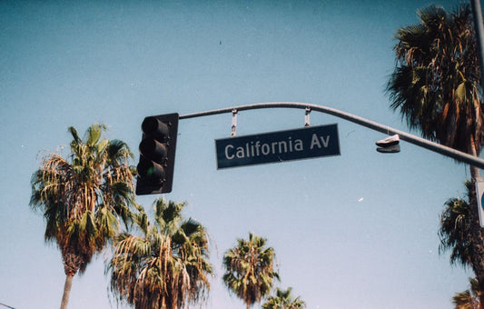 street sign and palm trees