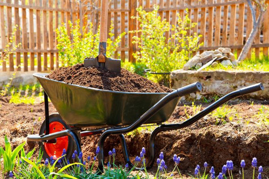 A wheelbarrow with soil in a garden