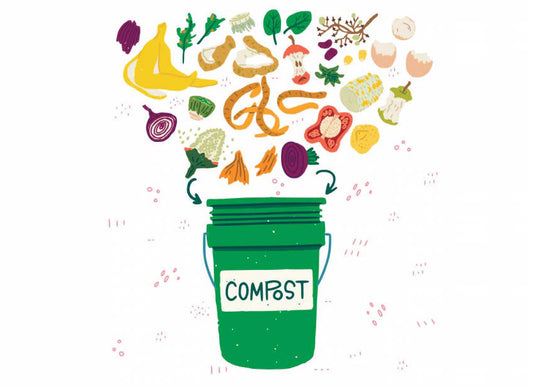 Green compost bin infographic