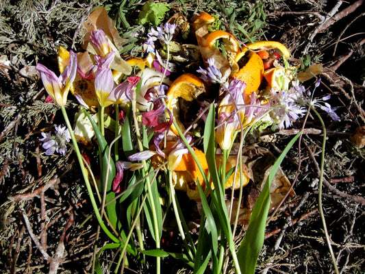 Can You Compost Flowers?