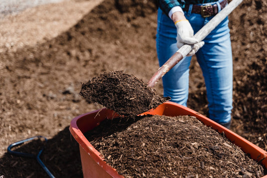 Compost Shredder: How to Use, Types, Benefits & More