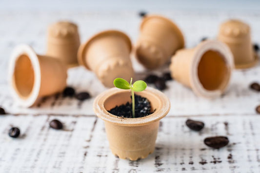 Close up of a compostable plastic cup