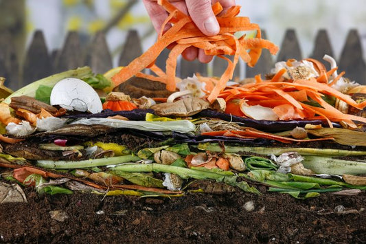 layers of compost, grass clippings, and food