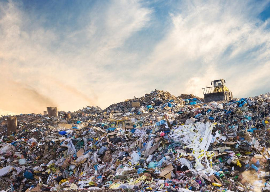 Harbage What 60 years of data tell us about our garbage habits – Lomi