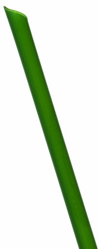 Eco Products Large Green Straw PLA