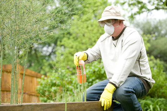 Man spraying fertilizer to his garden bed