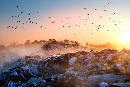 Image of a landfill