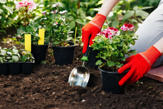 A person gardening with plants