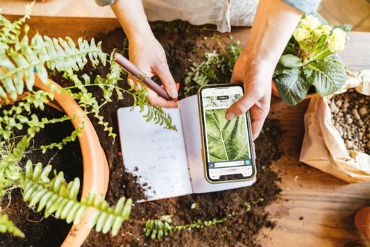 A person using a gardening app and journal to help with their gardening