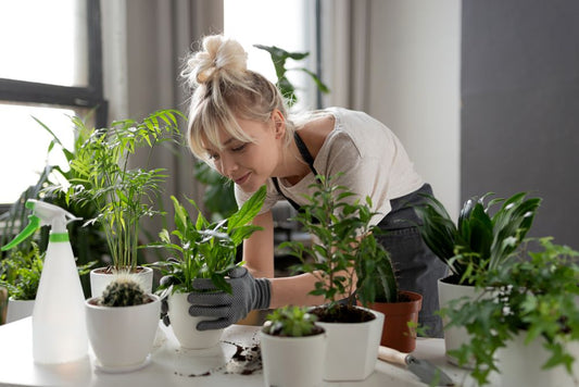 Woman caring for indoor plants in pots