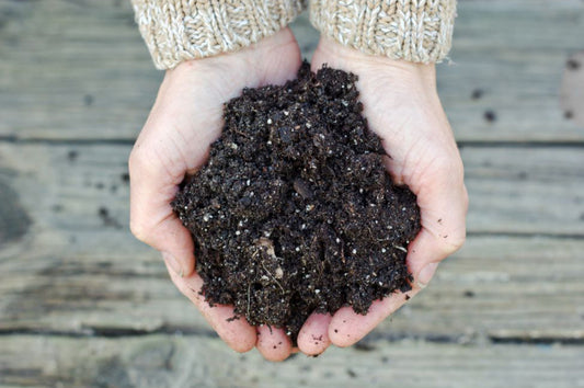 Handful of compost