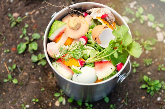 Someone scraping food scraps into an indoor compost bin