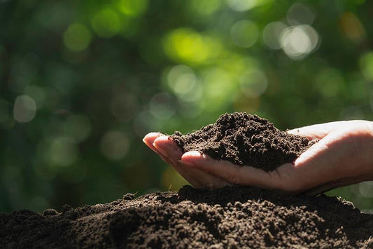 A hand holding dirt outdoors