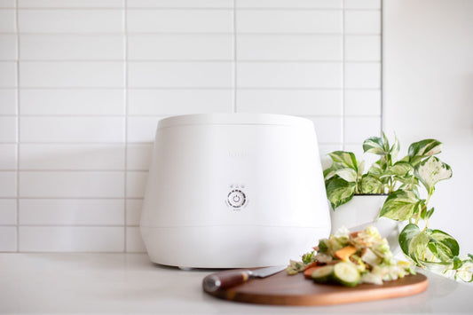 Lomi sitting on a white counter next to two indoor plants