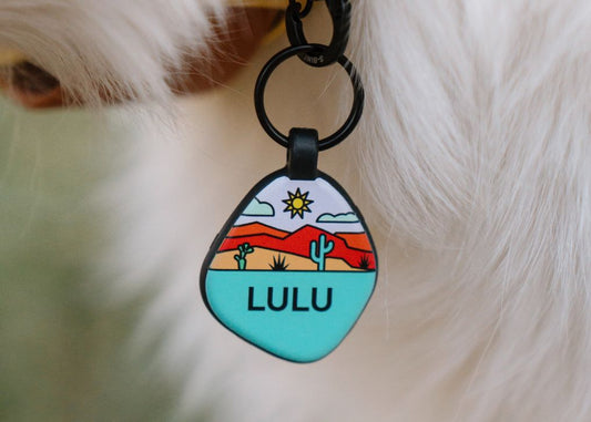Introducing QALO X Pela: Compostable Dog Tags!