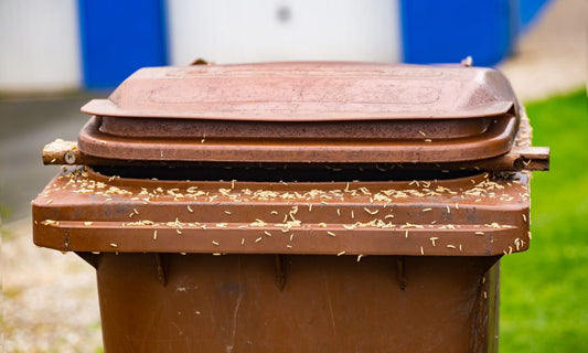 A garbage bin covered in maggots