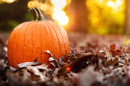 A pumpkin sitting on crunchy brown leaves