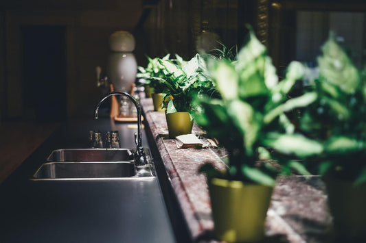 black kitchen sink with indoor plants