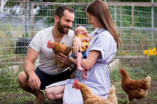 A family in the backyard with chickens