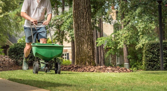 A man pushing a green fertilizer bin across a green lawn