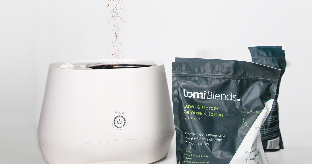 Lomi Blends