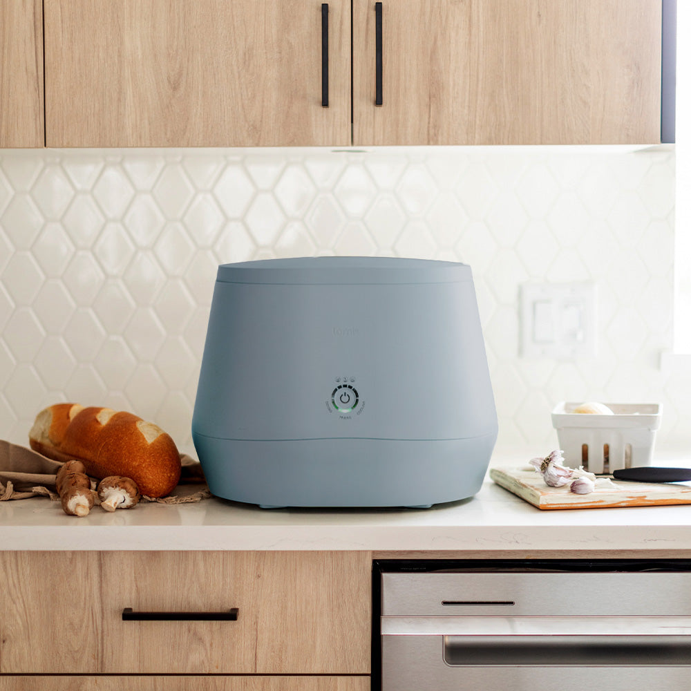 Lomi composter review: This countertop appliance should be your new kitchen  staple