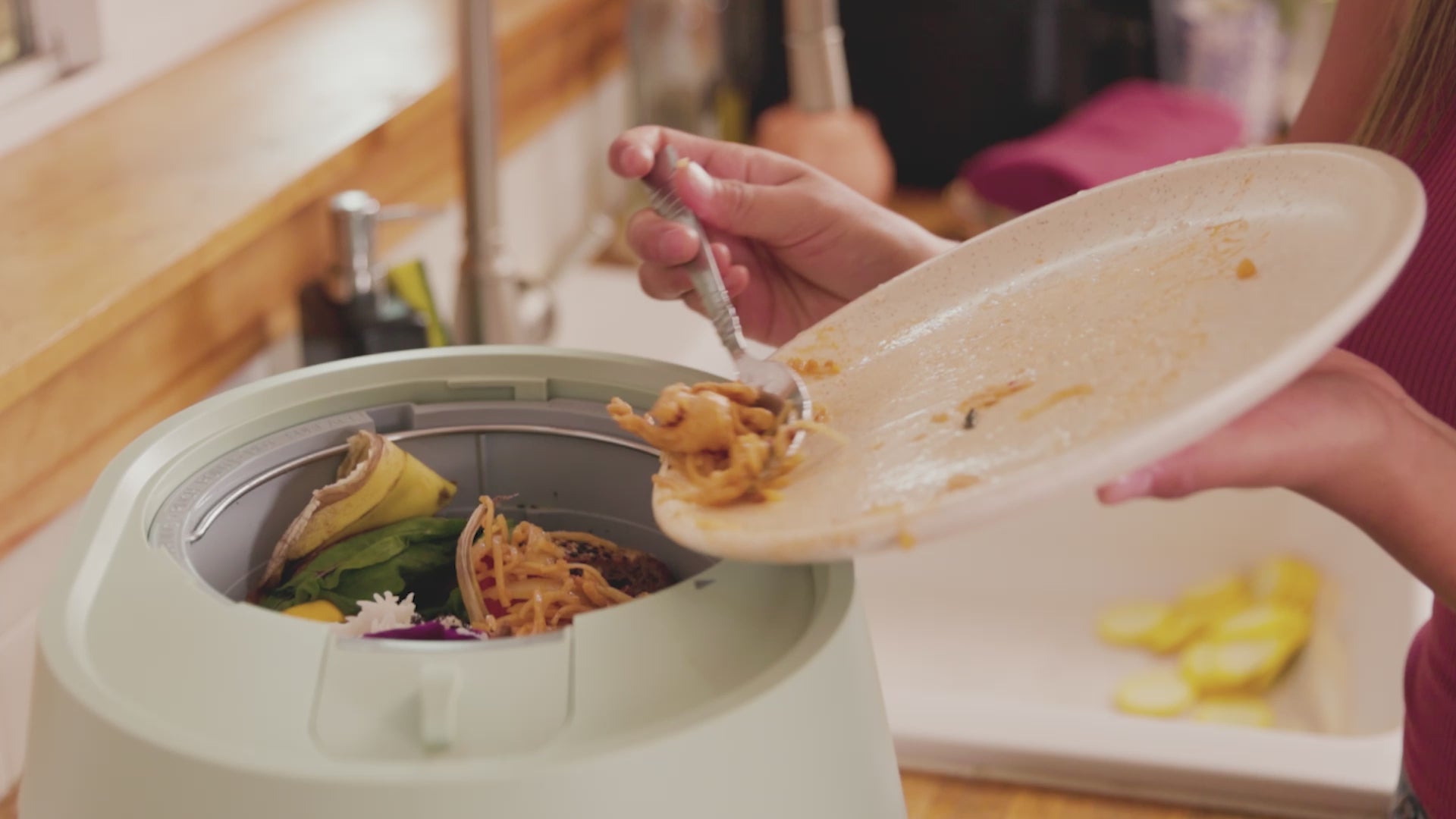 Lomi 2 Kitchen Countertop Food Recycler